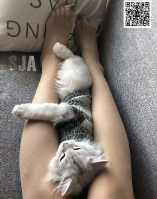 阮流筝宁至谦电视剧_BD国语手机免费观看完整