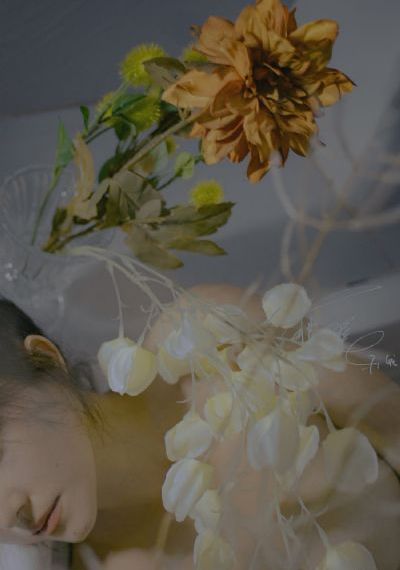 枫与铃免费在线观看_BD韩语电影完整版